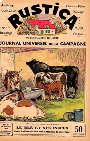 PLANCHE COULEUR 20ème TIREE DE RUSTICA VACHES LE BLE ET SES ISSUES ALIMENTATION