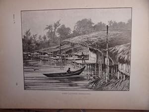 GRAVURE SUR BOIS VERS 1890 CASES LACUSTRES OCEANIENNES