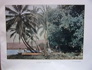 PLANCHE COULEUR 1891 COTE DE MATAÏEA TAHITI