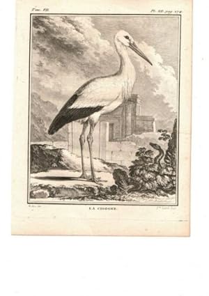 GRAVURE 18ème d' EPOQUE LA CIGOGNE