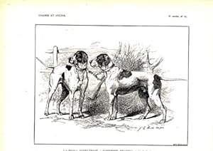 GRAVURE SUR BOIS 19ème CHIEN LES POINTERS SADDLEBACK ET SANDFORD GRAPHIC