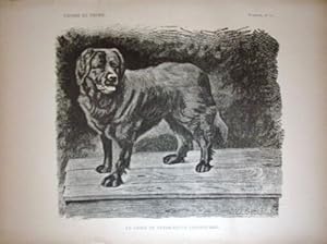 GRAVURE SUR BOIS 19ème LE CHIEN DE TERRE NEUVE COASTGUARD