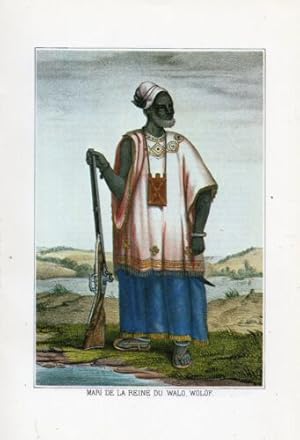 TIRAGE 20ème PLANCHE EN COULEUR SENEGAL MARI DE LA REINE DU WALO WOLOF