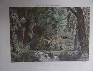 GRAVURE SUR ACIER AQUARELLEE 19ème FORET DE LA GUYANE