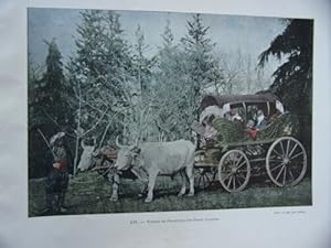 PLANCHE D'APRES GRAVURE IMPRESSION GILLOT 19è VOITURE DE PROMENADE DAMES TURQUES