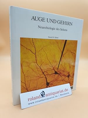 Bild des Verkufers fr Auge und Gehirn Neurobiologie des Sehens zum Verkauf von Roland Antiquariat UG haftungsbeschrnkt