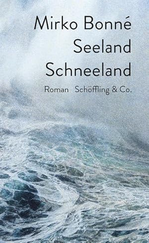 Seeland Schneeland: Roman