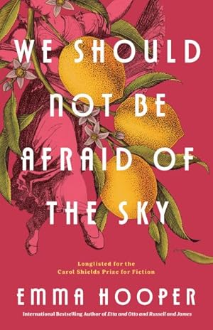 Seller image for We Should Not Be Afraid of the Sky for sale by GreatBookPrices