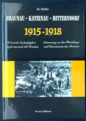 Seller image for Braunau - Katzenau - Mitterndorf 1915-1918 for sale by Librodifaccia