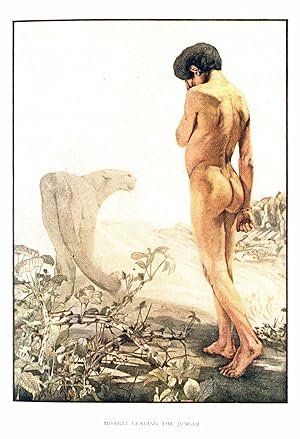 Seller image for The Jungle Book. With illustrations in colour by Maurice and Edward Detmold. for sale by Librairie de l'Amateur