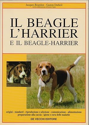 Imagen del vendedor de Il beagle, l'harrier e il beagle-harrier a la venta por librisaggi