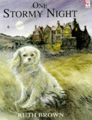 Seller image for One Stormy Night for sale by WeBuyBooks