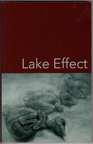 Seller image for Lake Effect Volume 20, Spring 2016 for sale by Recycled Books & Music