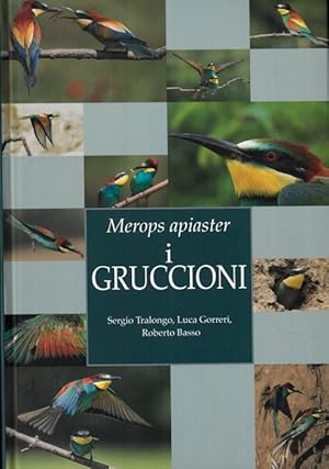 Seller image for I gruccioni. Merops apiaster. for sale by Libreria Piani