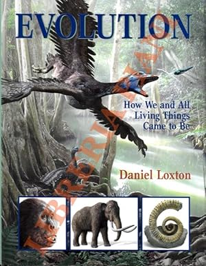 Imagen del vendedor de Evolution. a la venta por Libreria Piani