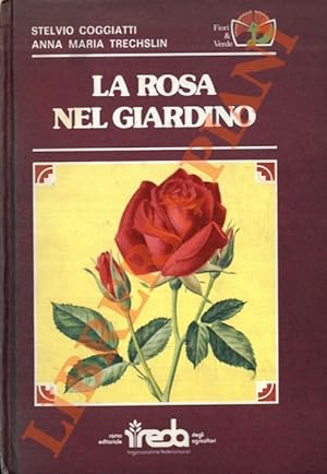 Immagine del venditore per La rosa nel giardino. venduto da Libreria Piani