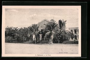 Ansichtskarte Djibouti, La Poste