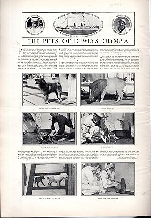 Imagen del vendedor de PRINT:: "The Pets of Dewey's Olympia (USS Olympia (C-6))". from Harper's Bazar, Volume XXXII, No. 38: September, 23, 1899 a la venta por Dorley House Books, Inc.