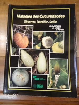 Maladies des cucurbitacées. Observer, Identifier, Lutter.