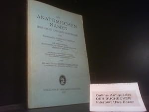 Die anatomischen Namen Ihre Ableitung und Aussprache