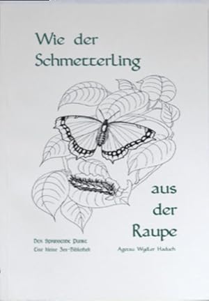 Seller image for Wie der Schmetterling aus der Raupe: Zen als innerer Wandlungsprozess (Der Springende Punkt: Eine kleine Zen-Bibliothek) Zen als innerer Wandlungsprozess for sale by Antiquariat Mander Quell