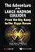 Seller image for The Adventure of the Large Hadron Collider: From the Big Bang to the Higgs Boson [Soft Cover ] for sale by booksXpress