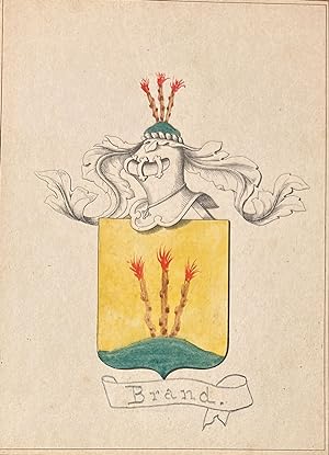[Heraldic coat of arms] Coloured coat of arms of the Brand family, family crest, 1 p.