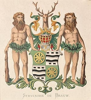 [Heraldic coat of arms] Coloured coat of arms of the Stavenisse de Brauw family, family crest, 1 p.