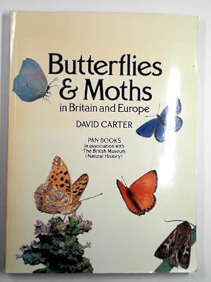 Image du vendeur pour Butterflies and moths in Britain and Europe mis en vente par Cotswold Internet Books