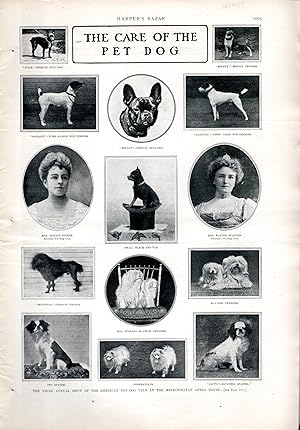 Seller image for PRINT:: "The Care of the Pet Dog" . from Harper's Bazar, Volume XXXII, No. 47: November, 25, 1899 for sale by Dorley House Books, Inc.