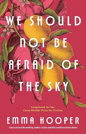 Seller image for We Should Not Be Afraid Of The Sky (Paperback) for sale by CitiRetail
