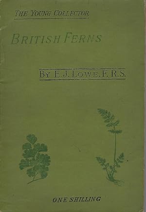 British Ferns and Where Found