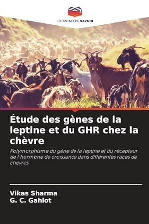 Seller image for tude des gnes de la leptine et du GHR chez la chvre for sale by moluna