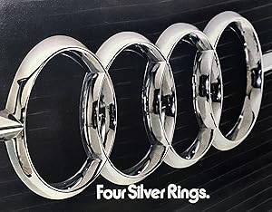 Four Silver Rings an Catch the Fox