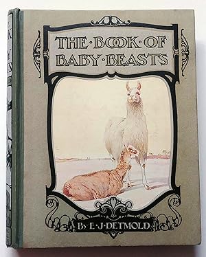 Bild des Verkufers fr Book of Baby Beasts zum Verkauf von E. M. Maurice Books, ABAA