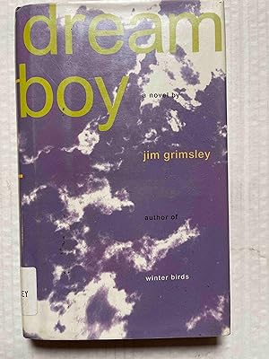 Imagen del vendedor de Dream Boy: A Novel a la venta por Jake's Place Books