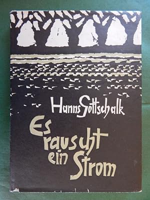 Es rauscht ein Strom - Roman