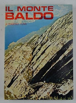 Il Monte Baldo.
