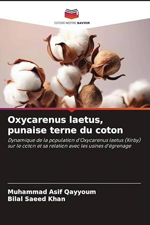 Bild des Verkufers fr Oxycarenus laetus, punaise terne du coton zum Verkauf von moluna