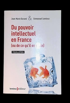 Bild des Verkufers fr Du pouvoir intellectuel en France (ou de ce qu'il en reste) zum Verkauf von LibrairieLaLettre2