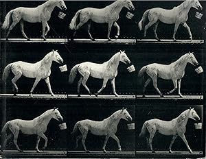 Seller image for Motion and Document, Sequence and Time; Eadweard Muybridge and Contemporary American Photography for sale by Robin Bledsoe, Bookseller (ABAA)
