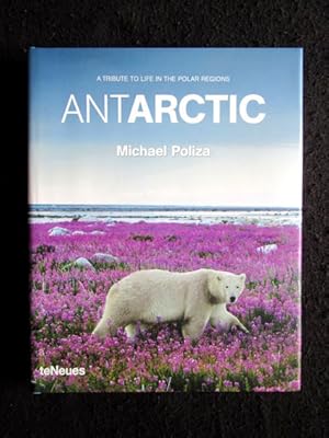 Antarctic. A Tribute to Life in the Polar Regions. Einführungstext in Englisch, Deutsch, Französi...