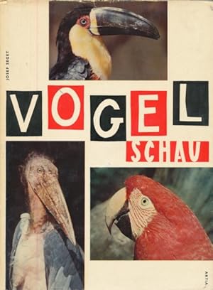 Seller image for Vogelschau. Deutsch von Gertruda Frankeov. for sale by ANTIQUARIAT ERDLEN