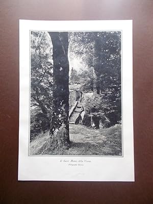 Stampa Fotografia Il Sacro Monte della Verna del 1924