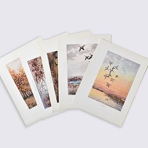 [Gunner's Dawn: Set of proofs of the fiver color plates:] Sunrise, Icy Marsh, An Open Shot, Malla...