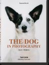 DOG IN PHOTOGRAPHY 1839 TODAY (AL/FR/IN)