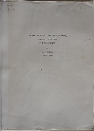 Excavations at the Lower Tin-Plate Works, Kidwelly, 1985-1986 - An Interim Report