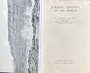 Jurassic geology of the world