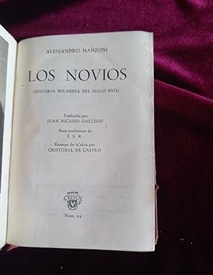 Seller image for Los novios for sale by Llibreria Fnix