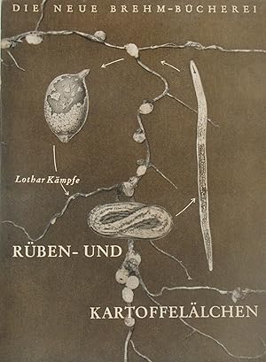 Imagen del vendedor de Rben- und Kartoffellchen, a la venta por Versandantiquariat Hbald